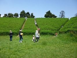 親子遠足の写真