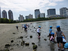 地引網・海辺の遊びの写真