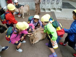 動物園遠足の写真