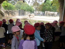 動物園遠足の写真